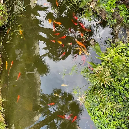 Matias Kastanies 2 With Privat Parking *