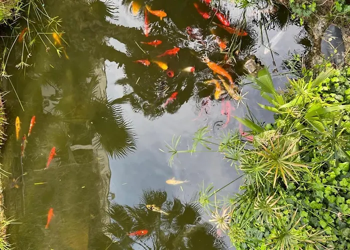 Matias Kastanies 2 With Privat Parking *