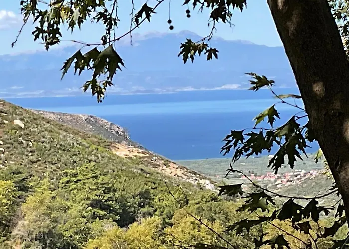 Matias Kastanies 2 With Privat Parking